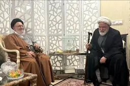 آیت‌الله موسوی خوئینی‌ها با مهدی کروبی دیدار کرد