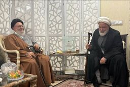 آیت‌الله موسوی خوئینی‌ها با مهدی کروبی دیدار کرد