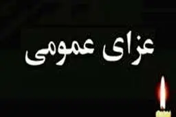 سخنگوی دولت: فردا در سراسر کشور عزای عمومی اعلام شد