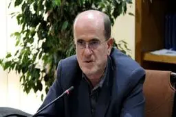 اصل ۵۹ قانون اساسی یک ظرفیت است/ در موضوع «FATF» و «برجام» همه‌پرسی برگزار کنیم