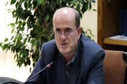 اصل ۵۹ قانون اساسی یک ظرفیت است/ در موضوع «FATF» و «برجام» همه‌پرسی برگزار کنیم