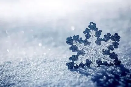 هواشناسی تکذیب کرد؛ بارش 60 سانتیمتری برف در تهران صحت ندارد