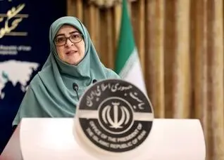 واکنش سخنگوی دولت به پلمپ هتل‌ها و کافه‌ها به دلیل مساله حجاب