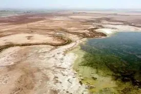 بیش از نیمی از مساحت تالاب شادگان خشک شد؛ فقط ۵۰ درصد حق‌آبه به این تالاب اختصاص داده شده!