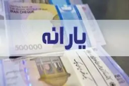 یارانه‌بگیران بخوانند/ جزئیات تفکیک یارانه فرزندان بالای ۱۸ سال مشخص شد