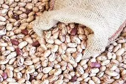 دلیل گرانی عجیب لوبیا چیتی