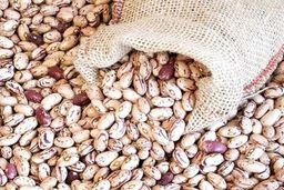 دلیل گرانی عجیب لوبیا چیتی