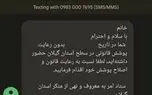 معاون رئیس‌جمهور از پیگیری مبدا ارسال پیامک حجاب خبر داد
