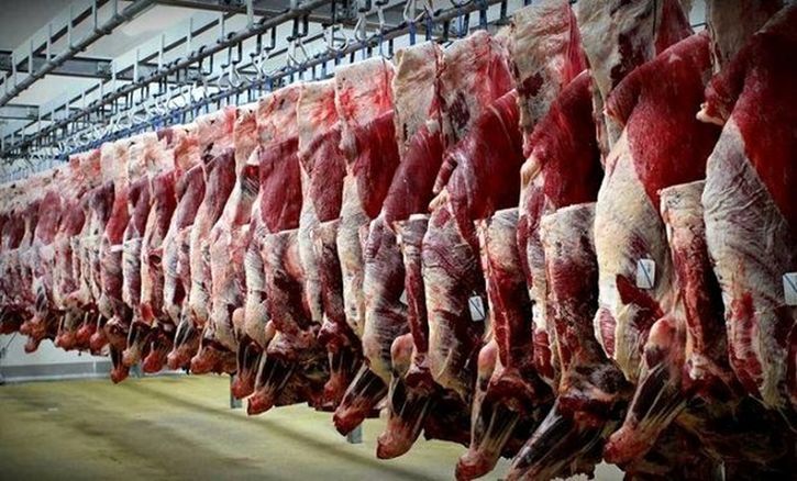خشکسالی در کمین گوشت قرمز/ گوشت گران میشود؟