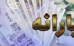 ماهانه بیشتر از این رقم خرید کنید، یارانه نقدی قطع می‌شود