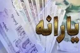 ماهانه بیشتر از این رقم خرید کنید، یارانه نقدی قطع می‌شود