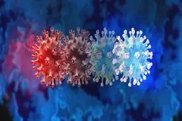 سویه جدید کرونا در راه است؟/ افزایش تدریجی کرونا
