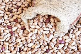 گران نخرید/ قیمت واقعی لوبیاچیتی اعلام شد