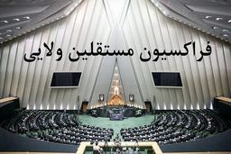 فردا فراکسیون مستقلین مجلس با پزشکیان دیدار خواهند کرد