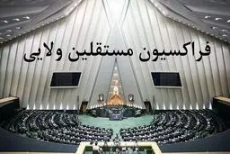 فردا فراکسیون مستقلین مجلس با پزشکیان دیدار خواهند کرد