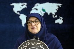 واکنش سخنگوی دولت به بازداشت شهروندان ایرانی در بریتانیا
