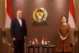 دیدار قالیباف با رئیس مجلس نمایندگان اندونزی