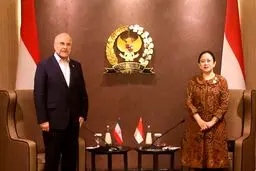 دیدار قالیباف با رئیس مجلس نمایندگان اندونزی