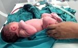 ایلان ماسک درباره کاهش نرخ زاد و ولد هشدار داد