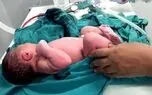 ایلان ماسک درباره کاهش نرخ زاد و ولد هشدار داد