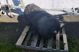 کشف قطعه‌ای از موشک اسپیس ایکس در ساحل آمریکا