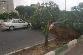 هشدار هواشناسی برای تهران؛ باد شدید و رعدوبرق