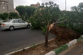 تهرانی‌ها مواظب باشند/ احتمال وقوع توفان‌های تندری