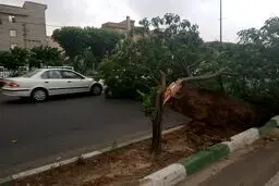 هشدار هواشناسی برای تهران؛ باد شدید و رعدوبرق