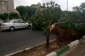 هشدار هواشناسی برای تهران؛ باد شدید و رعدوبرق