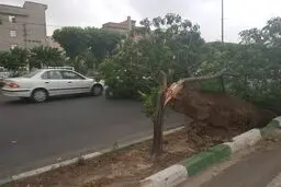 هشدار هواشناسی برای تهران؛ باد شدید و رعدوبرق