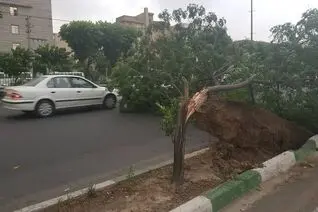 هشدار هواشناسی برای تهران؛ تندباد و رگبار در راه است
