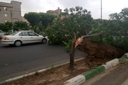تهرانی‌ها مواظب باشند/ احتمال وقوع توفان‌های تندری