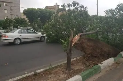 هشدار هواشناسی به پایتخت‌نشینان؛ وزش باد شدید در راه است