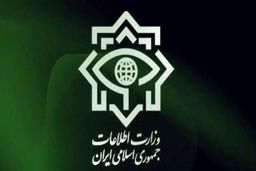 شبکه اراذل و اوباش در خوی توسط سربازان گمنام امام زمان (عج) متلاشی شد
