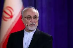 افشاگری علی‌اکبر صالحی از اختلاف در مذاکرات