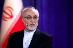 افشاگری علی‌اکبر صالحی از اختلاف در مذاکرات