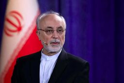 افشاگری علی‌اکبر صالحی از اختلاف در مذاکرات