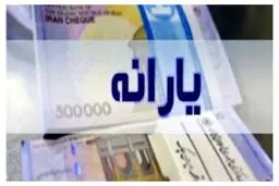 وزیر رفاه: جاماندگان یارانه می‌توانند ثبت‌نام کنند
