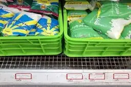 قیمت شیر نایلونی دو برابر شد