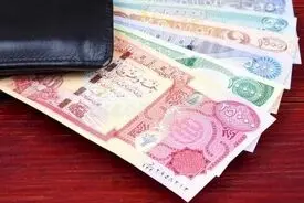 ارز اربعین ارزان شد + جزئیات