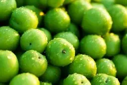 گوجه‌سبز نوبرانه کیلویی 800 هزار تومان!