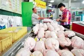 قیمت جدید مرغ کامل اعلام شد یکشنبه ۲۱ دی ۱۴۰۴