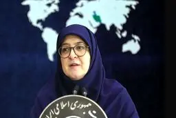سخنگوی دولت: استرداد لایحه فضای مجازی مصوب شد