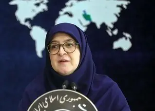 سخنگوی دولت افزایش کالابرگ را تایید کرد؛ علیه ممنوعیت پروازی به ایکائو شکایت کردیم
