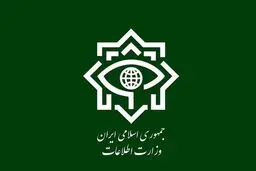 بیانیه وزارت اطلاعات در محکومت تروریستی خواندن سپاه