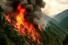 آتش‌سوزی در مناطق جنگلی چهار شهرستان گلستان