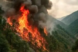 آتش‌سوزی در مناطق جنگلی چهار شهرستان گلستان