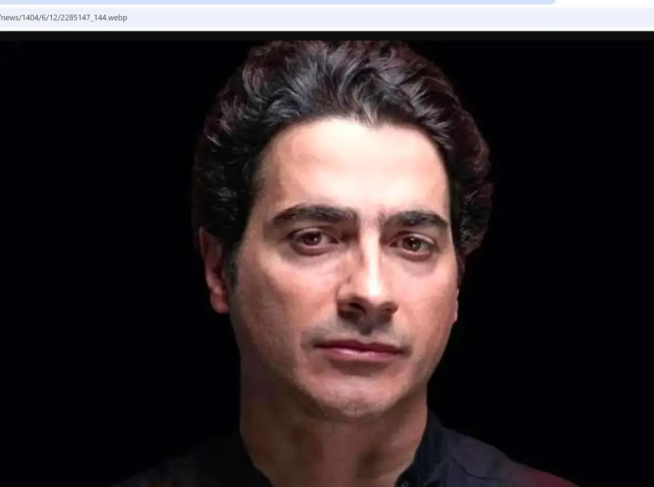 ادعای سخنگوی شهرداری تهران درباره لغو کنسرت همایون شجریان