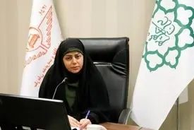 آغاز فعالیت تاکسی‌های اینترنتی از روز شنبه